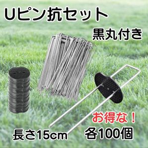 Uピン 杭 園芸 黒丸付き 15cm 100本 防草シート 除草 農業 テント