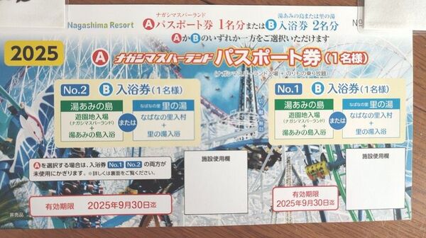 ナガシマスパーランド パスポート券 湯あみの島 入浴券 匿名配送