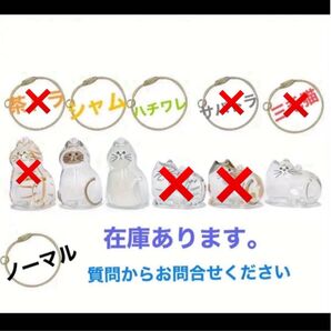 うちの子のけだまだま風