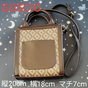 【美品】☆持ち物少なめの方に最適☆GUSCIO 2way ミニバック ハンドバッグ ショルダーバッグ