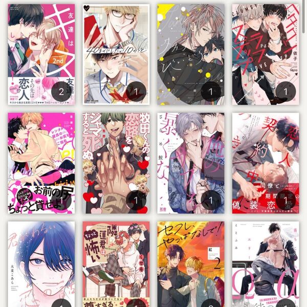 今週限定大幅値下げ!!!BL ボーイズラブ漫画 531巻セット