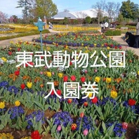 東武動物公園入園券3枚セット
