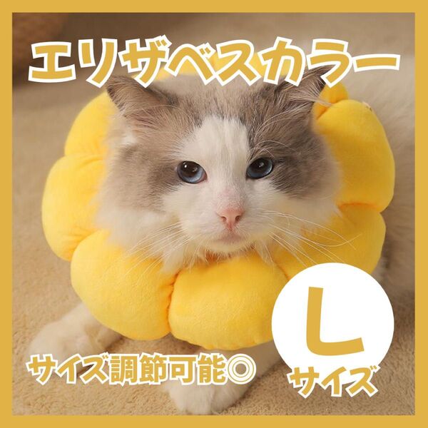 【Lサイズ】エリザベスカラー ペット 犬 猫 手術 傷舐め防止