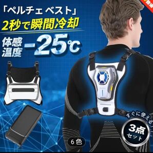 ペルチェ ベスト 瞬間冷却プレート付き バッテリーセット フリーサイズ 暑さ対策