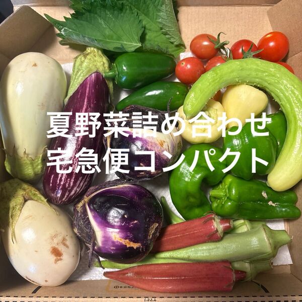 夏野菜詰め合わせ 宅急便コンパクト