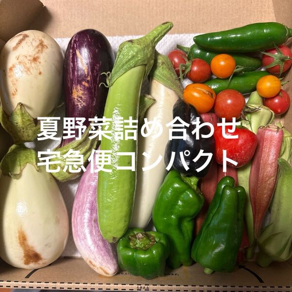 夏野菜詰め合わせ 宅急便コンパクト