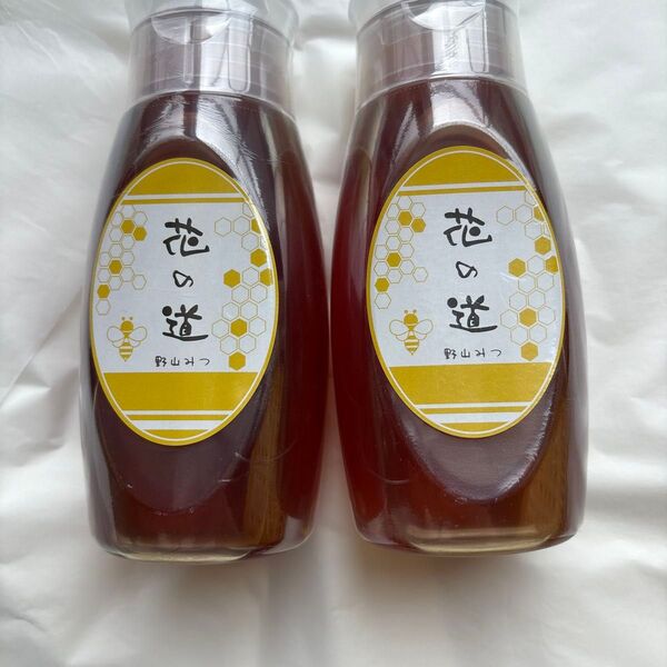 九州福岡産 蜂蜜 2個セット500g×2 花の道 野山みつ