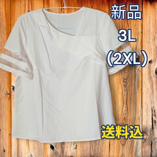 半袖カットソー 3L 2XL 白 シアー 大きいサイズ