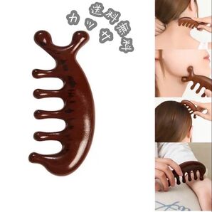 【最安値セール中 早い者勝ち】 カッサ コーム マッサージ ヘアケア ツボ押し シンプル お洒落 今話題 贈り物 プレゼント 新品