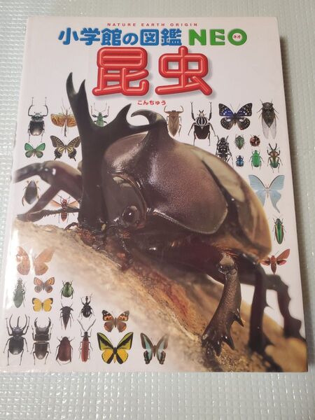 小学館の図鑑NEO 昆虫 中古本
