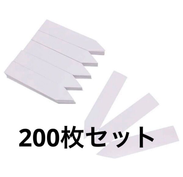新品 園芸用ラベル100枚 プランツタグ 葉挿し