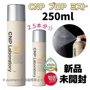【新品未開封】大容量250ml!通常サイズの2.5本分!CNP プロP プロポリスアンプルエナジーミスト/栄養&潤い&ツヤを充填☆