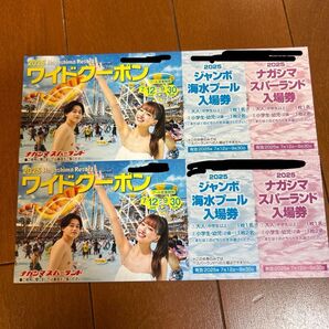 2025ナガシマリゾート ジャンボ海水プール ナガシマスパーランド 入場券 ワイドクーポン 2枚セット