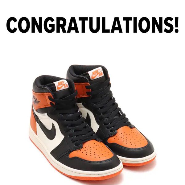 Nike Air Jordan 1 Retro High OG "Shattered Backboard" 25.5