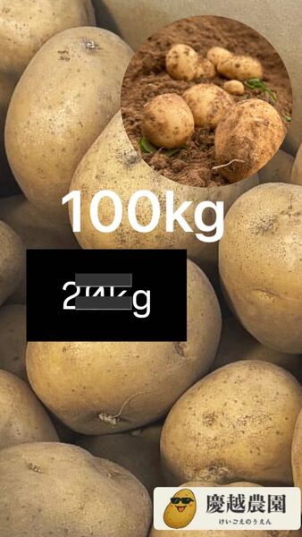100kg じゃがいも ニシユタカ 鹿児島県産 新じゃがいも
