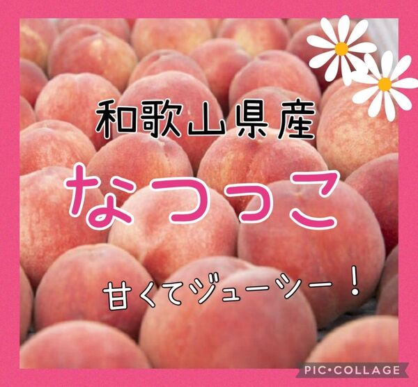 和歌山県産 桃 なつっこ 家庭用 5玉〜7玉(15日以後発送予定