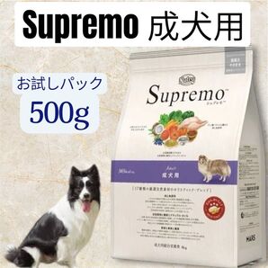 Supremo 成犬用 お試しパック シュプレモ 500g