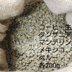 コーヒー生豆100g×8袋(タンザニア,マンデリン,メキシコ,ペルー)
