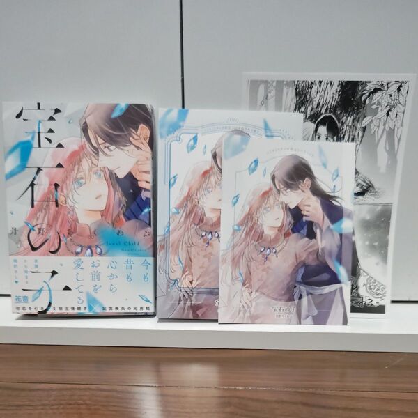 BLコミック 宝石の子 丹野ちくわぶ/コミコミ限定小冊子付き