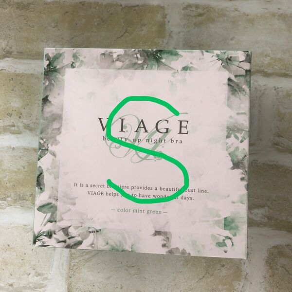 ミントグリーン Sサイズ ヴィアージュ ナイトブラ VIAGE