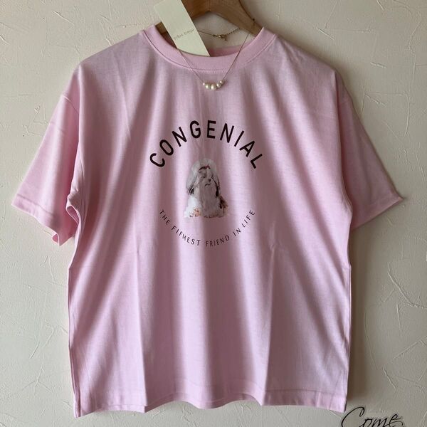 エヘカソポ わんちゃんtシャツ ロゴtシャツ Tシャツ ピンク ehka sopo シーズプリントtシャツ 新品