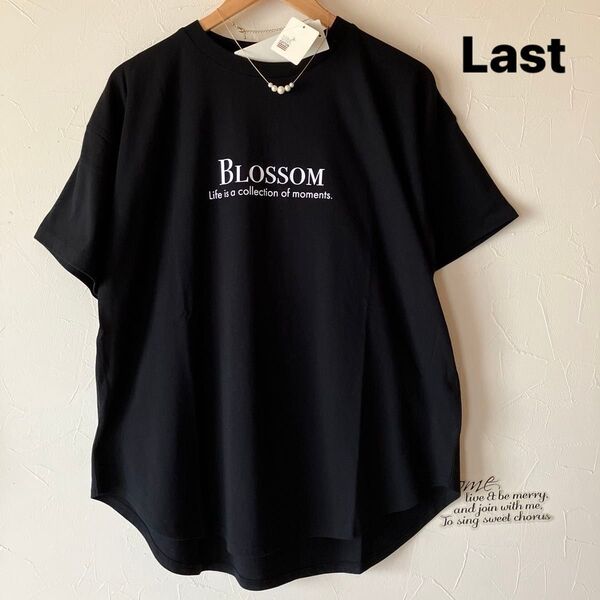 ロゴチュニック プリントtシャツ ロゴtシャツ フォトプリント サマンサモスモスブルー SM2