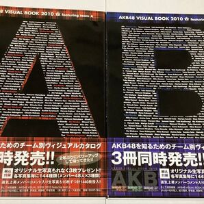 AKB48 VISUAL BOOK 2010 チームA + チームB 2冊セット 検(本 写真集