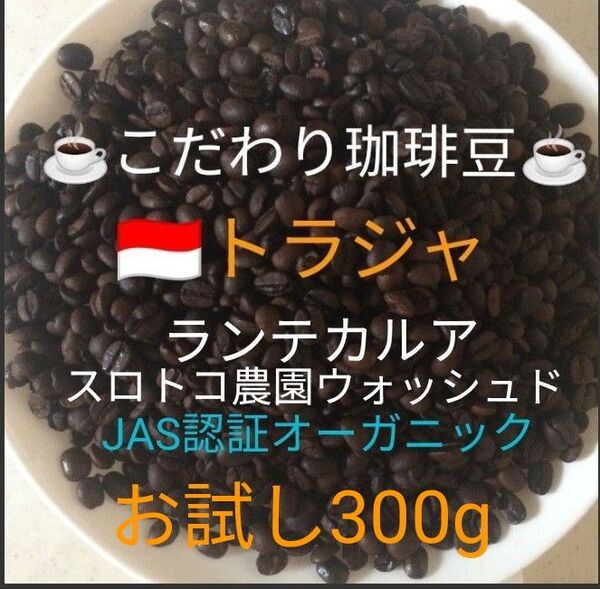 こだわり珈琲豆 トラジャ ランテカルア JAS認証オーガニック お試し300g 中深煎り 自家焙煎 Qグレード スロトコ農園
