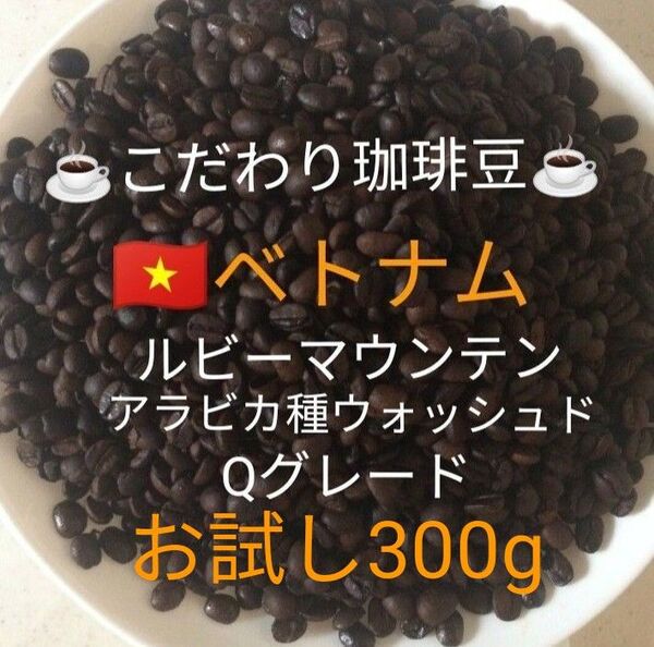 こだわり珈琲豆 ベトナムG-1 ルビーマウンテン 300g 中深煎り 自家焙煎珈琲 アラビカ Qグレード ウォッシュド