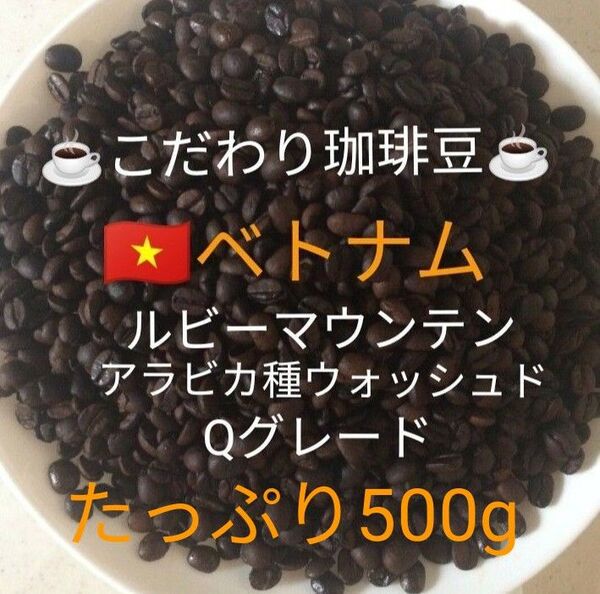 こだわり珈琲豆 ベトナムG-1 ルビーマウンテン 500g 中深煎り 自家焙煎珈琲 アラビカ Qグレード ウォッシュド