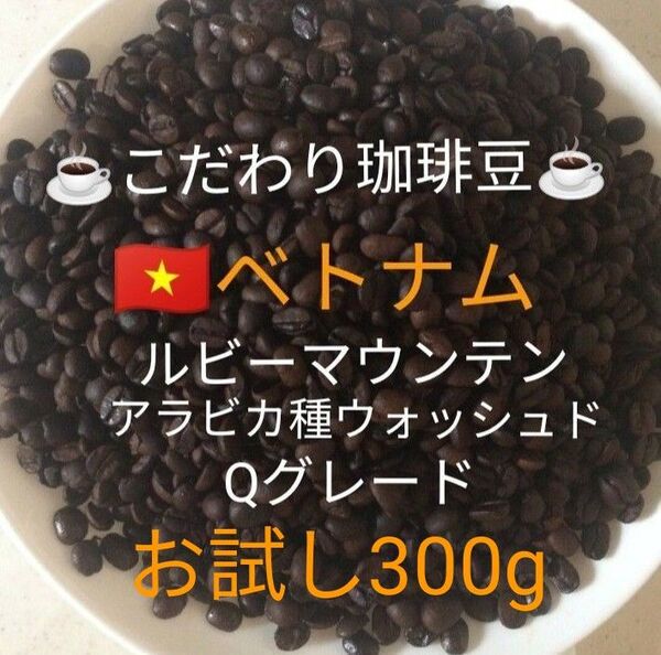 こだわり珈琲豆 ベトナムG-1 ルビーマウンテン 300g 中深煎り 自家焙煎珈琲 アラビカ Qグレード ウォッシュド