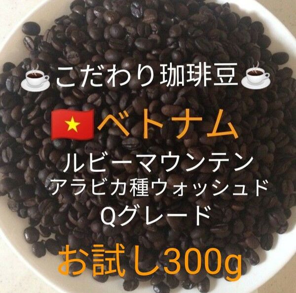 こだわり珈琲豆 ベトナムG-1 ルビーマウンテン 300g 中深煎り 自家焙煎珈琲 アラビカ Qグレード ウォッシュド