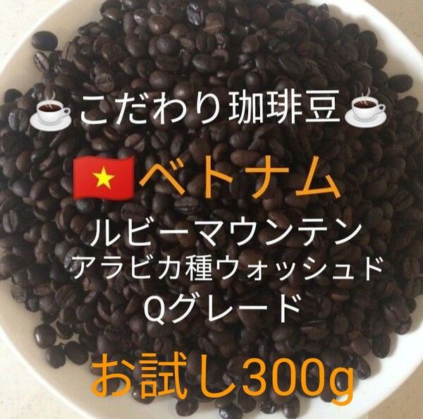こだわり珈琲豆 ベトナムG-1 ルビーマウンテン 300g 中深煎り 自家焙煎珈琲 アラビカ Qグレード ウォッシュド