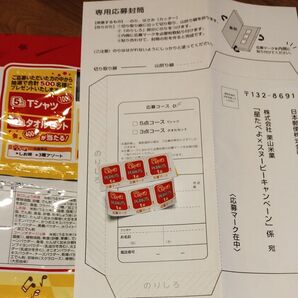 星たべよ×スヌーピーキャンペーン 応募マーク 6枚 専用応募封筒1枚付き