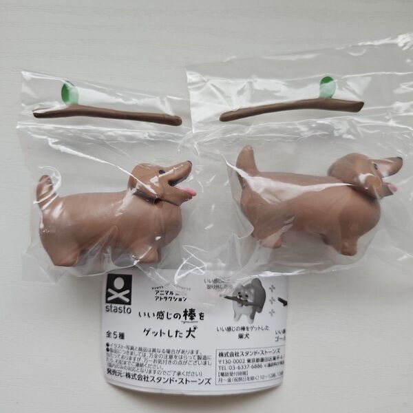 いい感じの棒をゲットした犬 ダックスフンド 2個セット