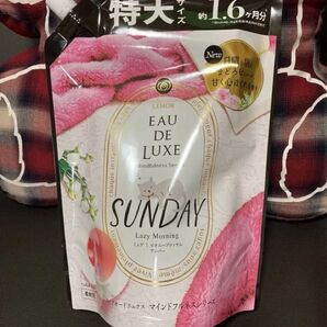 レノア オードリュクス 柔軟剤マインドフルネス サンデー600ml 1点