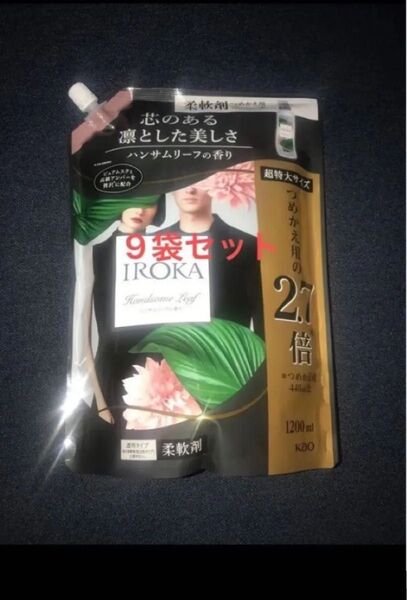 フレア フレグランス IROKA 柔軟剤 ハンサムリーフ 1200ml×9イロカ