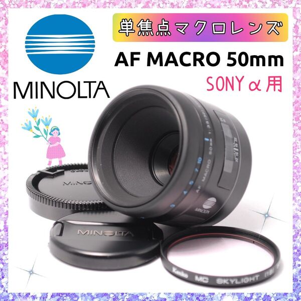 ★即購入1000円OFF★ ミノルタ MINOLTA AF MACRO 50mm F3.5 単焦点レンズ SONY α用