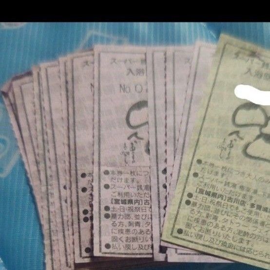 極楽湯回数券17枚 宮城県