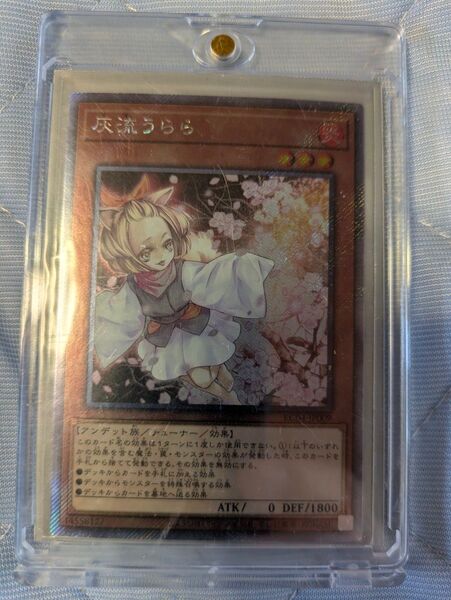 遊戯王 灰流うらら エクストラシークレット