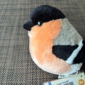 ケーセン ウソ bullfinch ぬいぐるみ