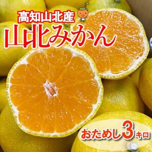 たっぷり果汁♪甘~い夏みかん 高知山北産 山北みかん 2L~3Lサイズ 約3kg
