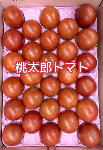 お買い得♪ 高知県産 桃太郎トマト 28玉入り 3.5~4kg