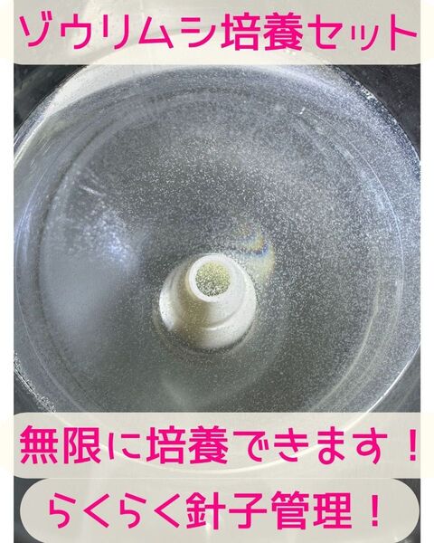 ゾウリムシ 培養スターターセット 1組 タレ瓶付 3Dプリンタ製 送料無料