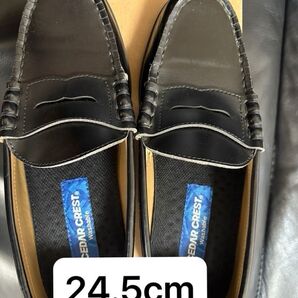 【30%OFFクーポン】 CEDAR CREST ローファー 24.5cm メンズ 男子 学生 ウォッシャブル