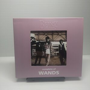 at the BEING studio complete of WANDS