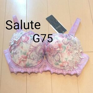 【サルート】 Salute ブラジャー G75 ビバラインパープル系 薔薇 スワロフスキー 刺繍 人気商品 新品未使用 ワコール