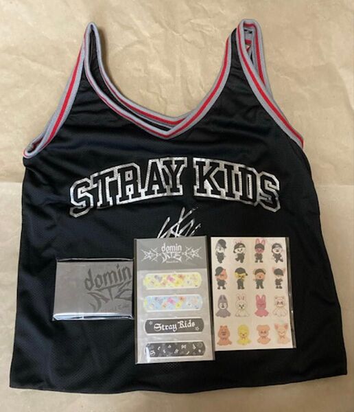 Stray Kids dominATE エコパ アプグレ フォトカード メッシュバッグ 絆創膏 +シール