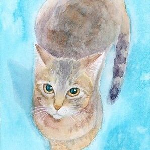 水彩画 猫の絵 手描きイラスト アート ポストカードサイズ【009】
