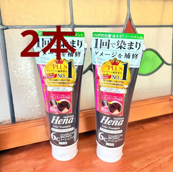 テンスター ヘナ カラートリートメント チャコールブラウン 250g 2本